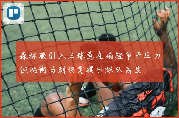 森林狼引入三球意在减轻华子压力但抗衡马刺仍需提升球队高度
