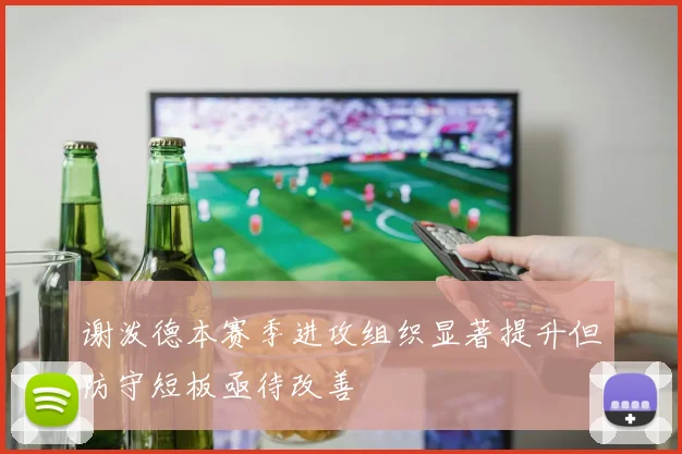 谢泼德本赛季进攻组织显著提升但防守短板亟待改善